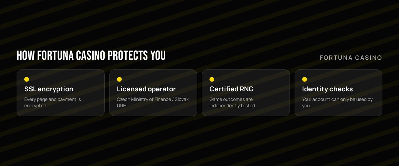 View casino safety measures